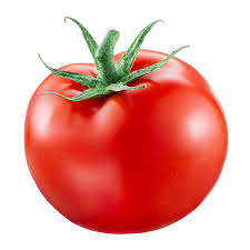 Healthy Tomato Leaf